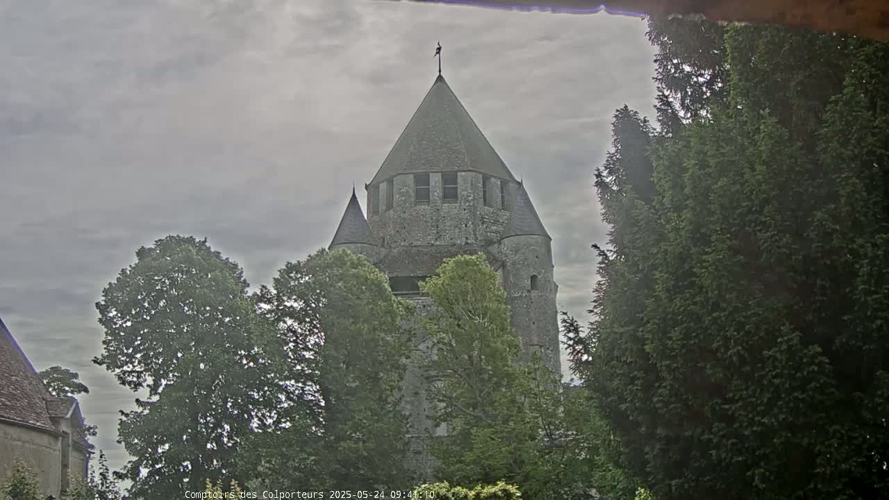 A stone tower with a conical roof is partially obscured by leafy green trees under a cloudy sky.