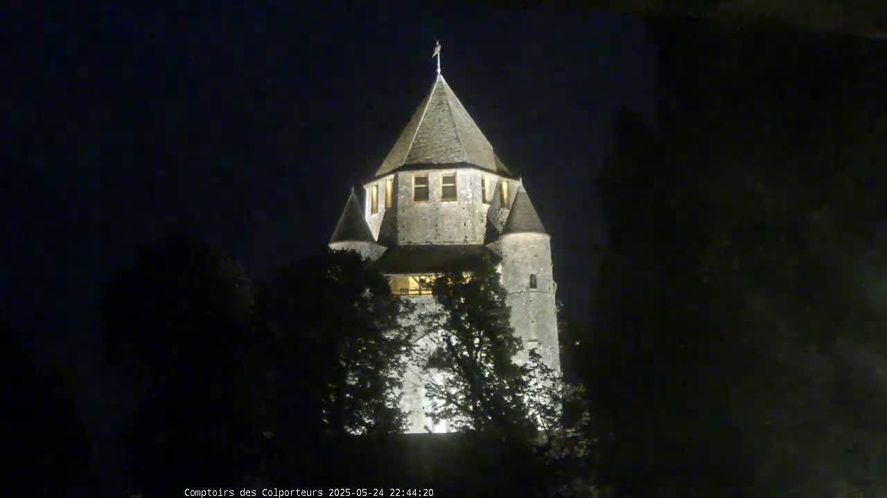 Provins Commune Tour Cesar Tower& Castle Live Cam - Provins, Seine-et-Marne, Ile-de-France, France