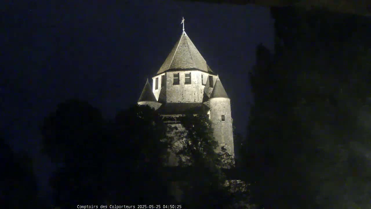 Provins Commune Tour Cesar Tower& Castle Live Cam - Provins, Seine-et-Marne, Ile-de-France, France