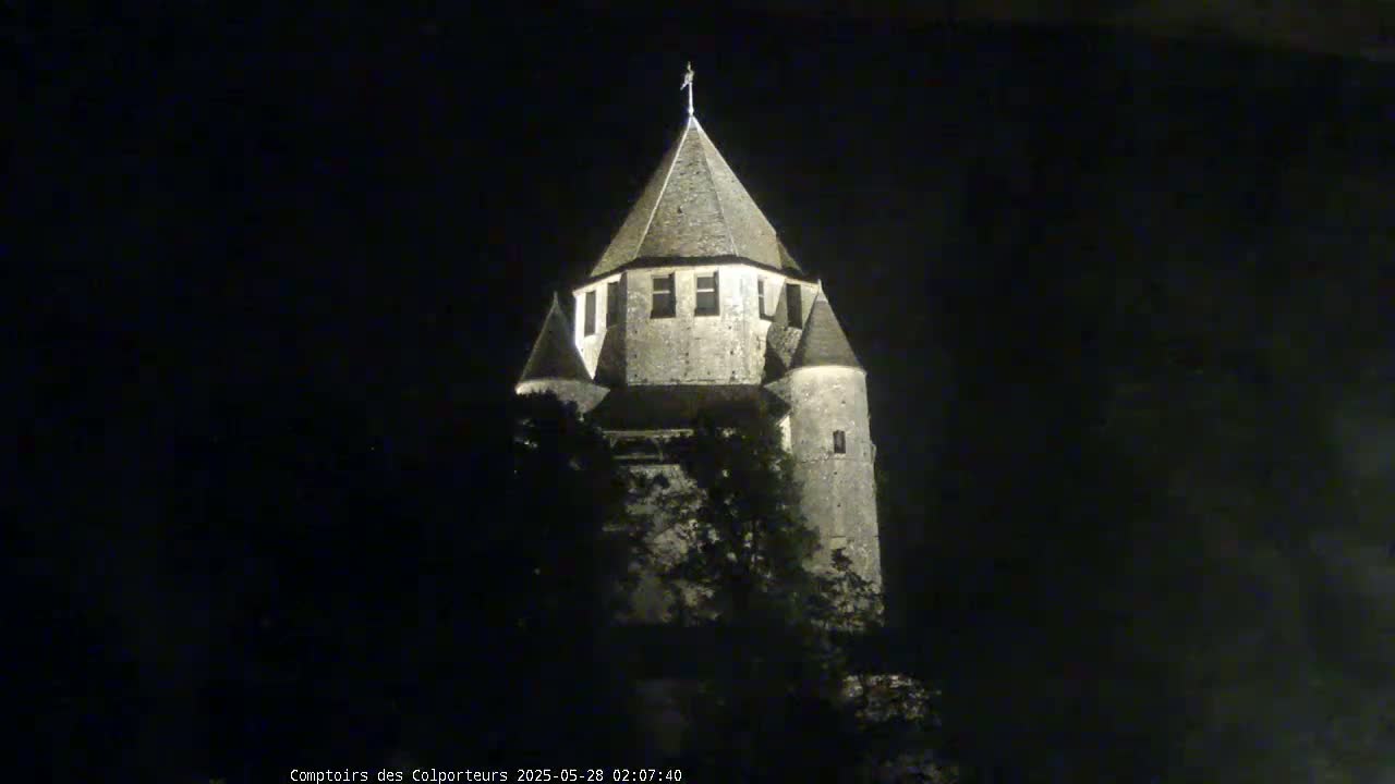 A stone tower, illuminated at night, is partially obscured by dark trees.