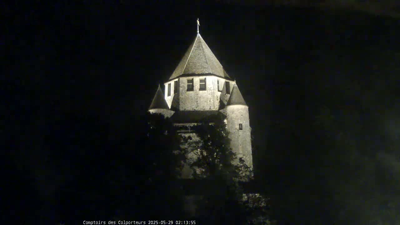 A stone tower, illuminated at night, stands partially obscured by dark trees.