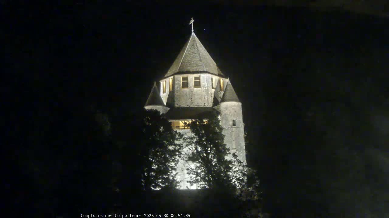 A stone tower, illuminated at night, is partially obscured by trees under a dark, clear sky.