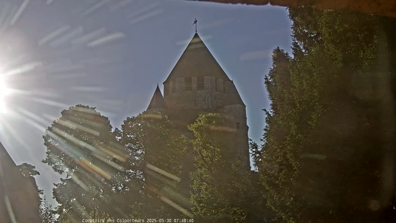 A stone tower, partially obscured by trees, is seen on a sunny day.