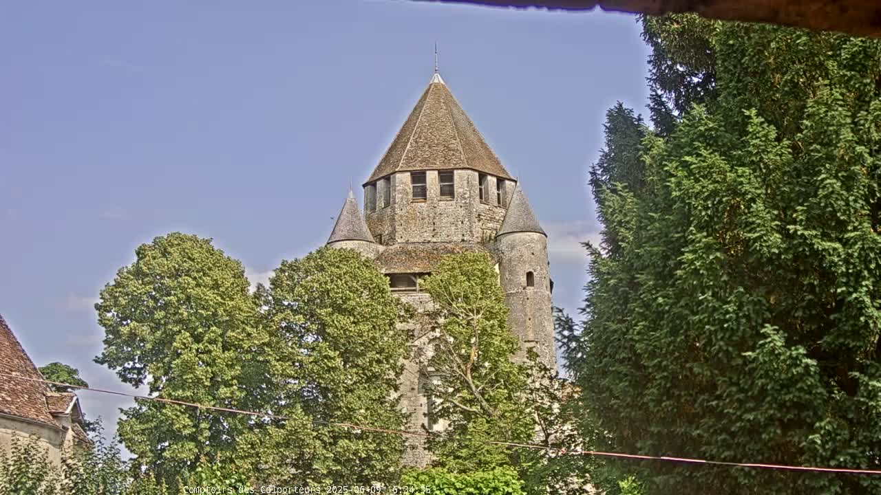 A stone tower with a conical roof is partially visible behind leafy green trees under a clear, light blue sky.