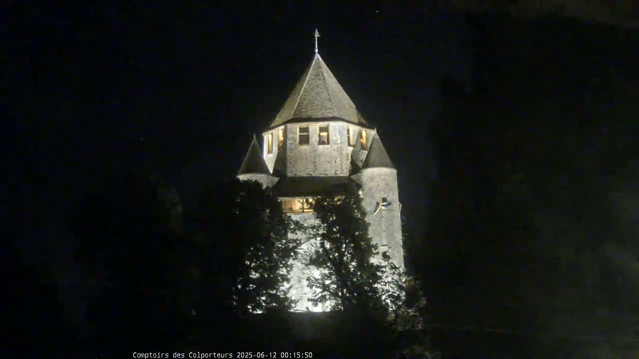Provins Commune Tour Cesar Tower& Castle Live Cam - Provins, Seine-et-Marne, Ile-de-France, France