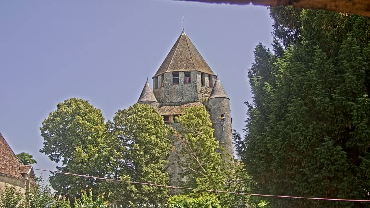 A stone tower with a conical roof stands behind leafy green trees under a clear blue sky.