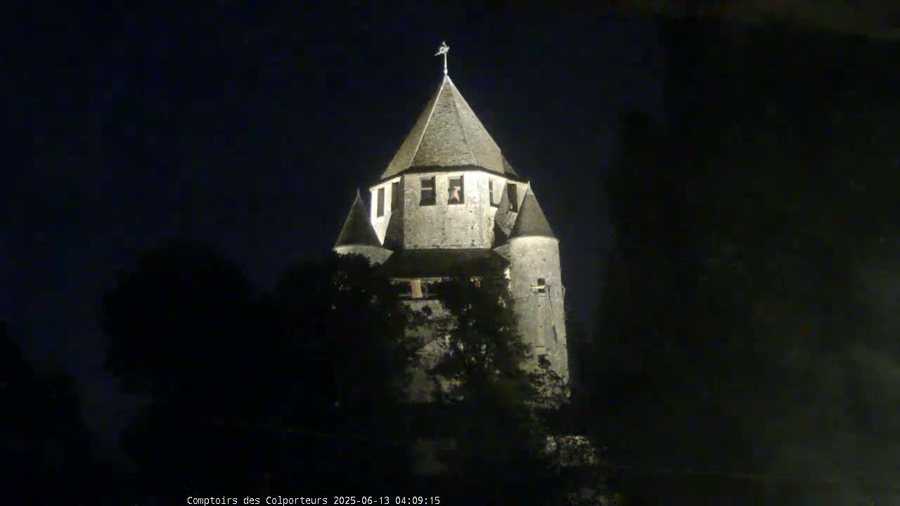 Provins Commune Tour Cesar Tower& Castle Live Cam - Provins, Seine-et-Marne, Ile-de-France, France
