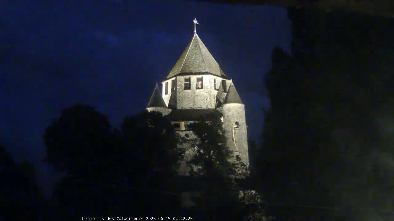 Provins Commune Tour Cesar Tower& Castle Live Cam - Provins, Seine-et-Marne, Ile-de-France, France
