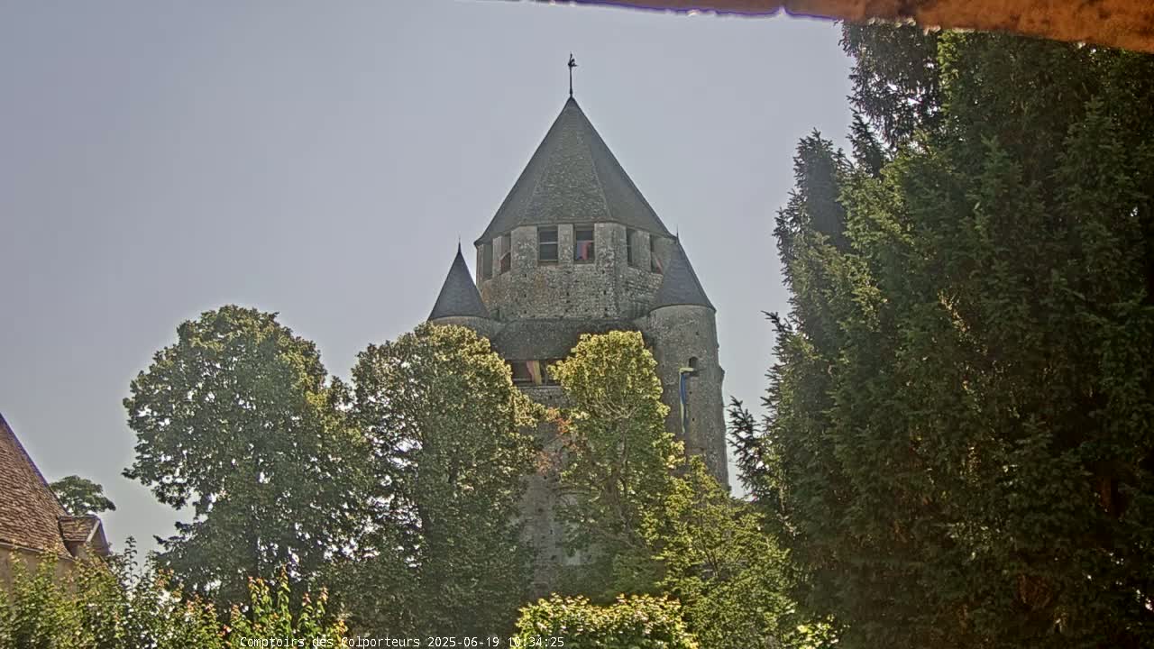 A stone tower with a conical roof rises above leafy green trees under a light gray sky.