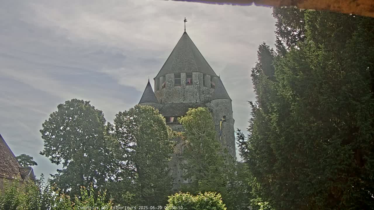 A stone tower, partially obscured by trees, stands under a cloudy sky.
