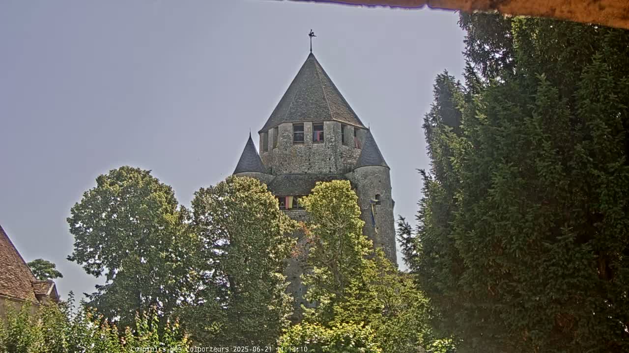 A stone tower with a conical roof is partially visible through the leaves of deciduous and evergreen trees under a mostly clear sky.