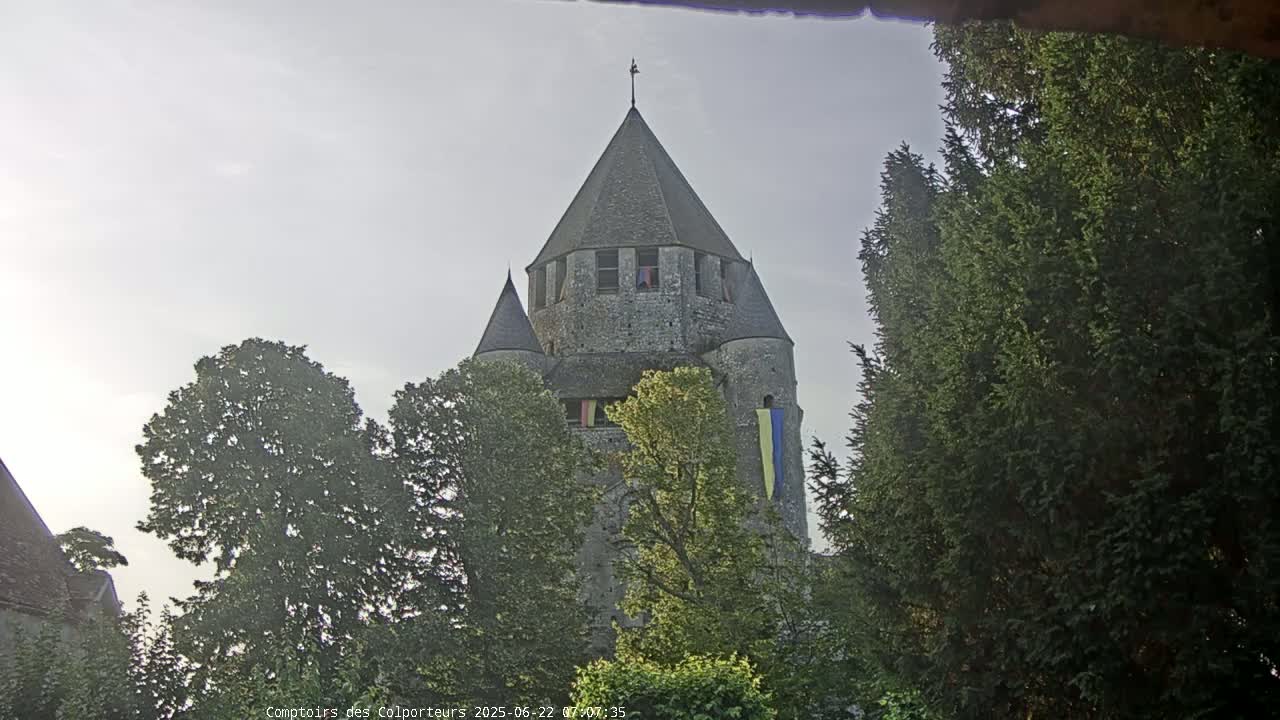 Provins Commune Tour Cesar Tower& Castle Live Cam - Provins, Seine-et-Marne, Ile-de-France, France