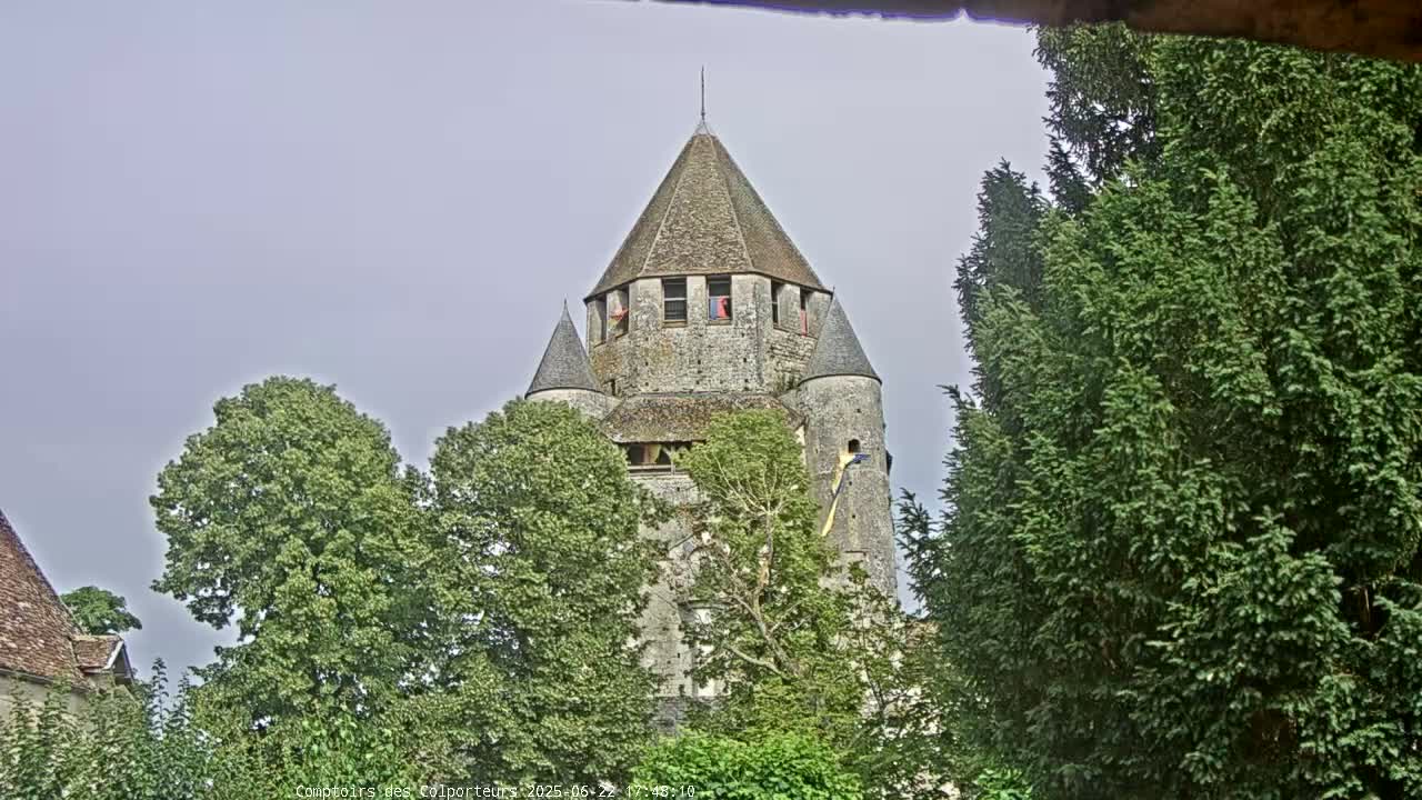 A stone tower with a conical roof is partially obscured by leafy green trees under an overcast sky.