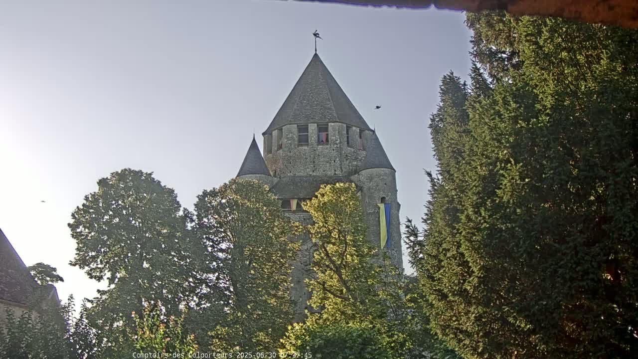 A stone tower, partially obscured by trees, stands under a mostly clear sky.
