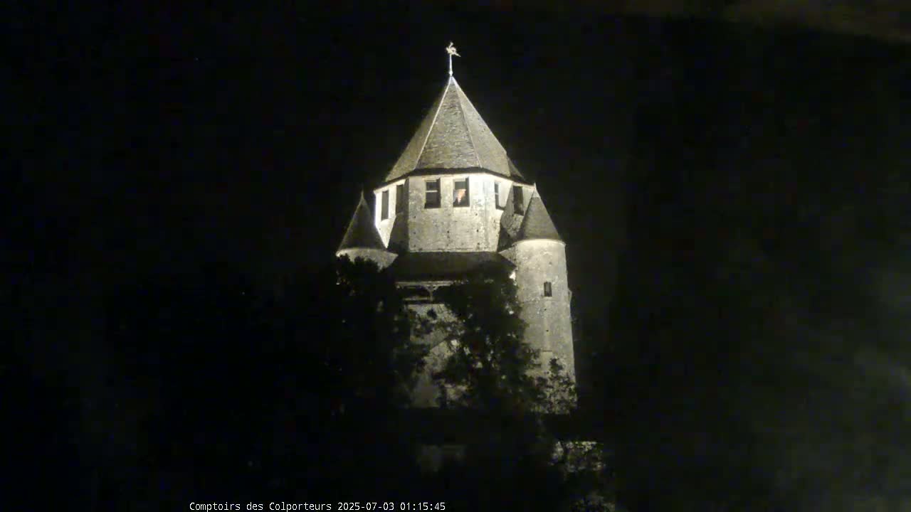 Provins Commune Tour Cesar Tower& Castle Live Cam - Provins, Seine-et-Marne, Ile-de-France, France
