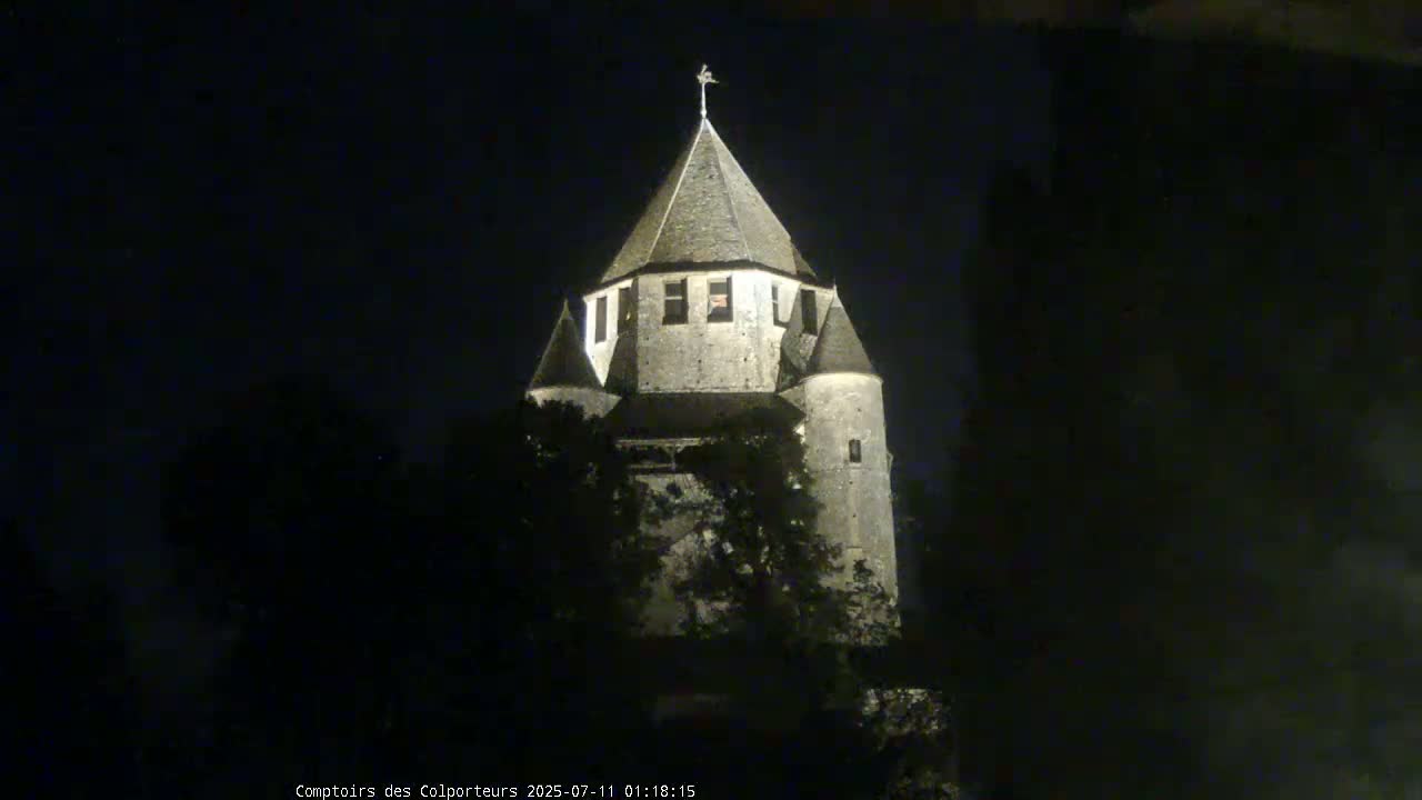 Provins Commune Tour Cesar Tower& Castle Live Cam - Provins, Seine-et-Marne, Ile-de-France, France