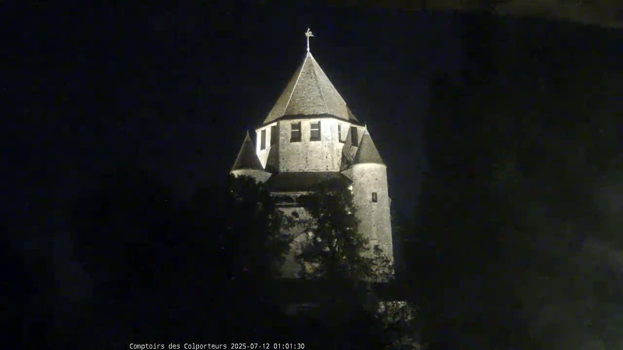 Provins Commune Tour Cesar Tower& Castle Live Cam - Provins, Seine-et-Marne, Ile-de-France, France
