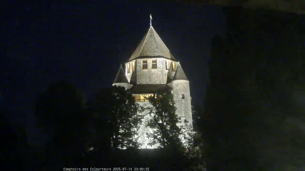 Provins Commune Tour Cesar Tower& Castle Live Cam - Provins, Seine-et-Marne, Ile-de-France, France