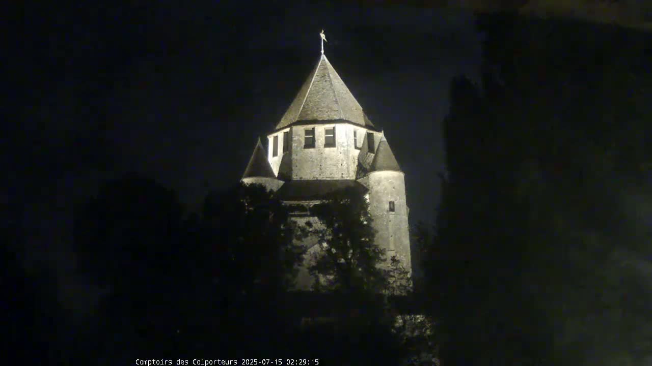 Provins Commune Tour Cesar Tower& Castle Live Cam - Provins, Seine-et-Marne, Ile-de-France, France