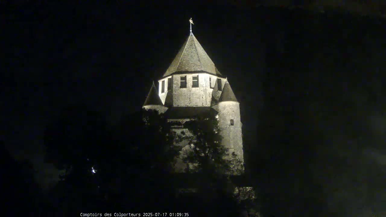 Provins Commune Tour Cesar Tower& Castle Live Cam - Provins, Seine-et-Marne, Ile-de-France, France