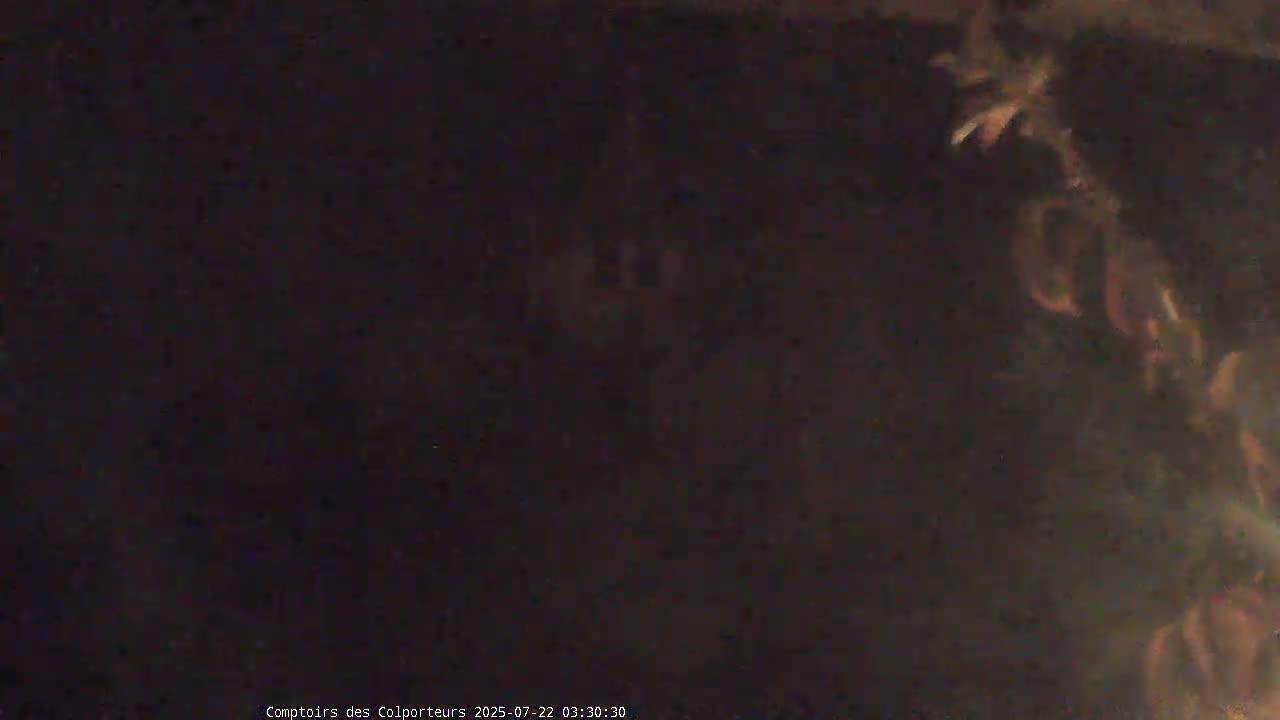 Provins Commune Tour Cesar Tower& Castle Live Cam - Provins, Seine-et-Marne, Ile-de-France, France