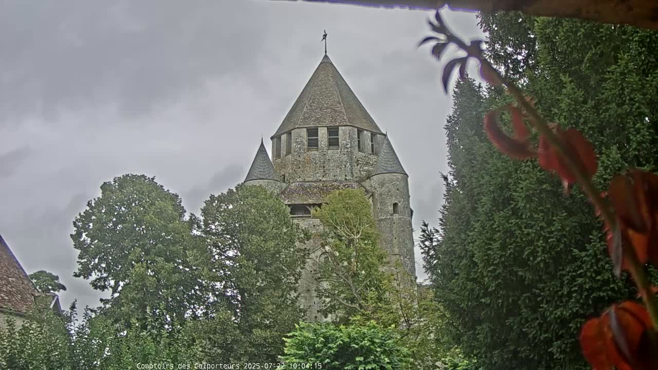 A stone tower, partially obscured by trees, stands under a cloudy sky.