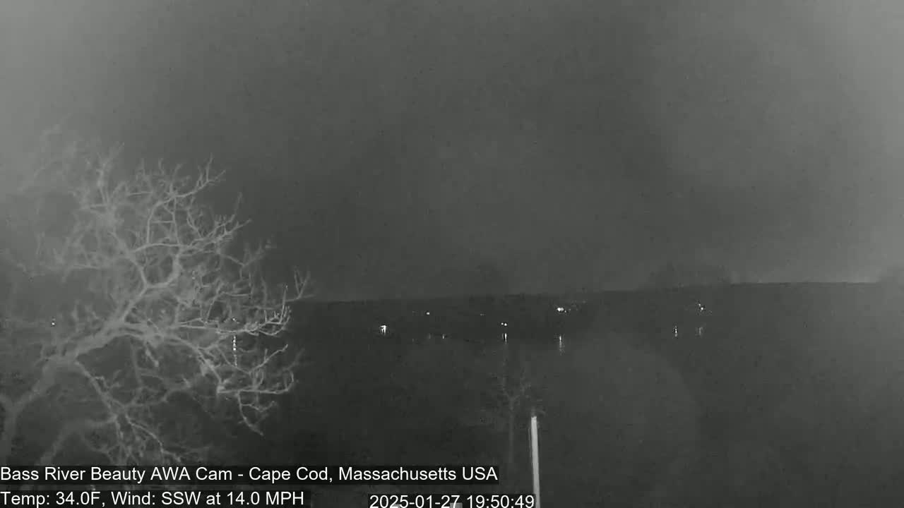 A nighttime, overcast scene shows a barren tree in the foreground and a body of water with a distant shoreline under a dark sky with a 14 mph south-southwesterly wind.
