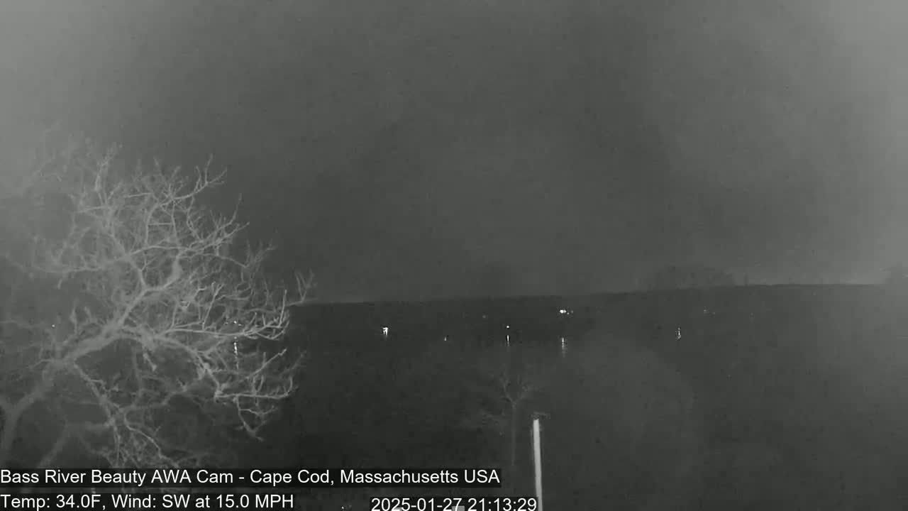 A nighttime, overcast view shows a bare tree in the foreground and a dark body of water with a distant shoreline under a dark sky with a southwest wind at 15 mph.