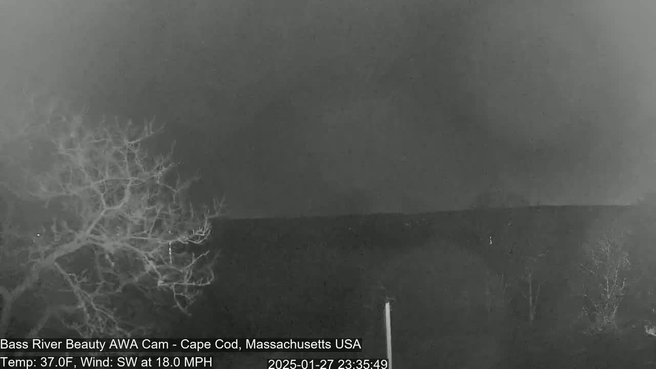 A nighttime, grayscale image shows bare trees against a dark, overcast sky with a southwest wind of 18 mph and a temperature of 37 degrees Fahrenheit.
