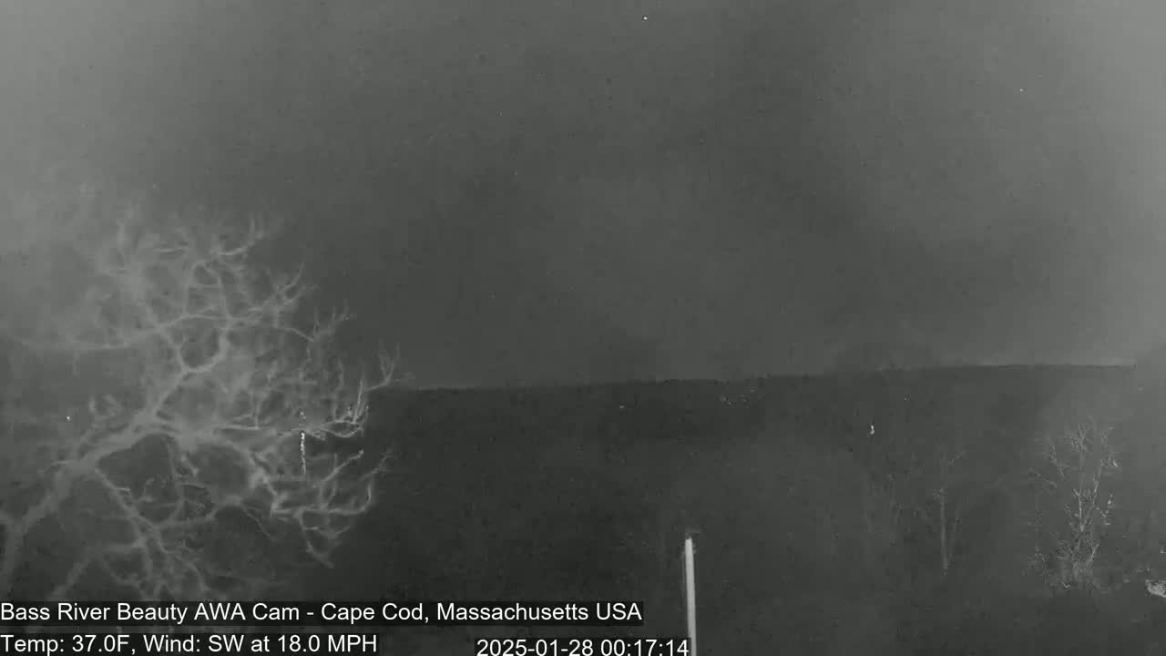 A nighttime, overcast scene shows bare trees and a dark horizon under a dark gray sky with an 18 mph southwest wind and a temperature of 37°F.