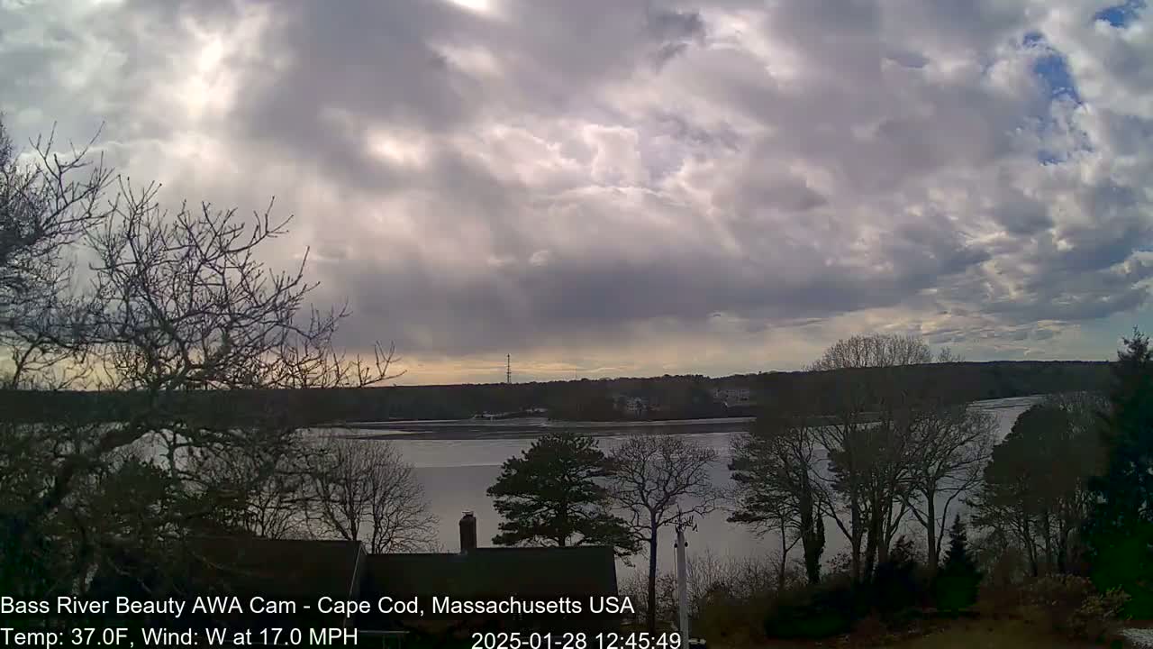 A partly cloudy, windy day reveals a view of a calm river bordered by bare trees and distant land under a mostly gray sky.