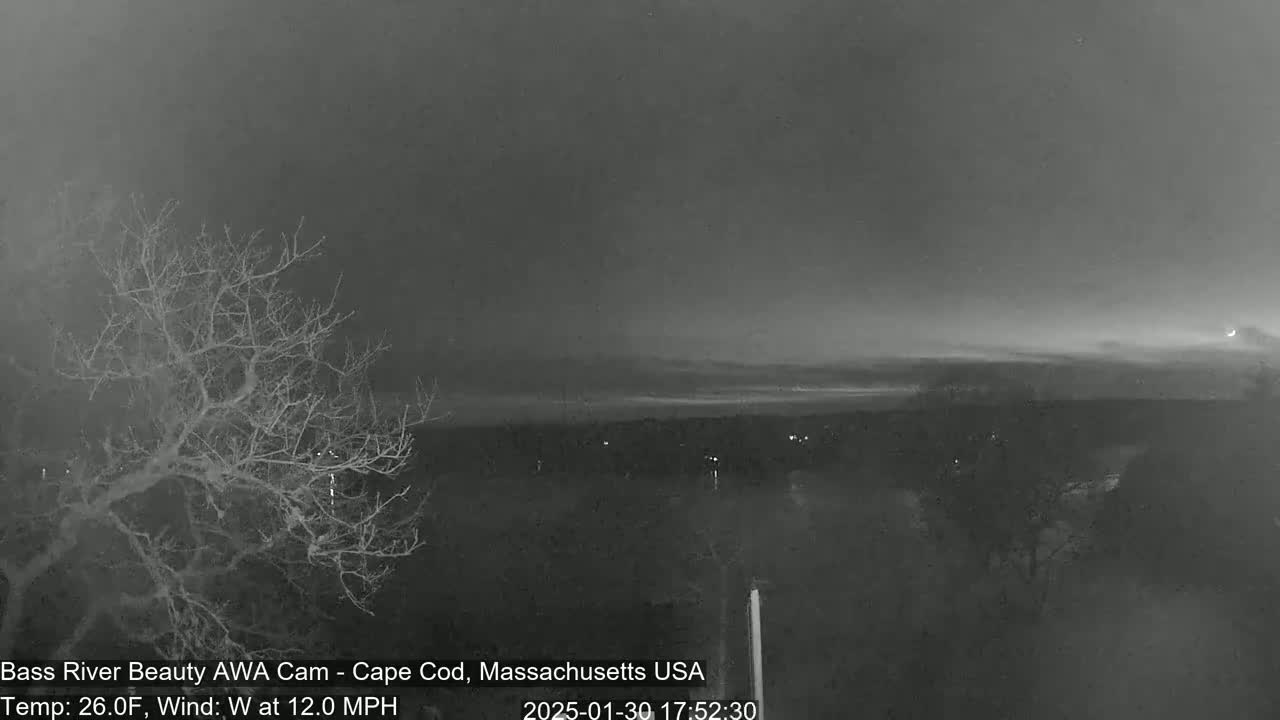A nighttime, grayscale view of a treeline overlooking a dark, calm body of water under a mostly cloudy sky with a sliver of moon visible.