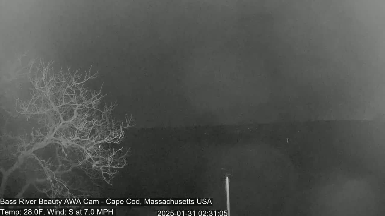 A nighttime, low-visibility scene shows a bare tree in the foreground and a dark, indistinct horizon under a gray sky with a south wind.