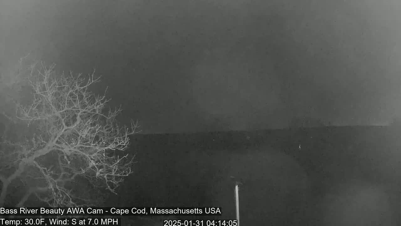 A bare, leafless tree stands in the foreground against a dark, overcast sky, with a distant, indistinct landmass visible under low-light conditions.