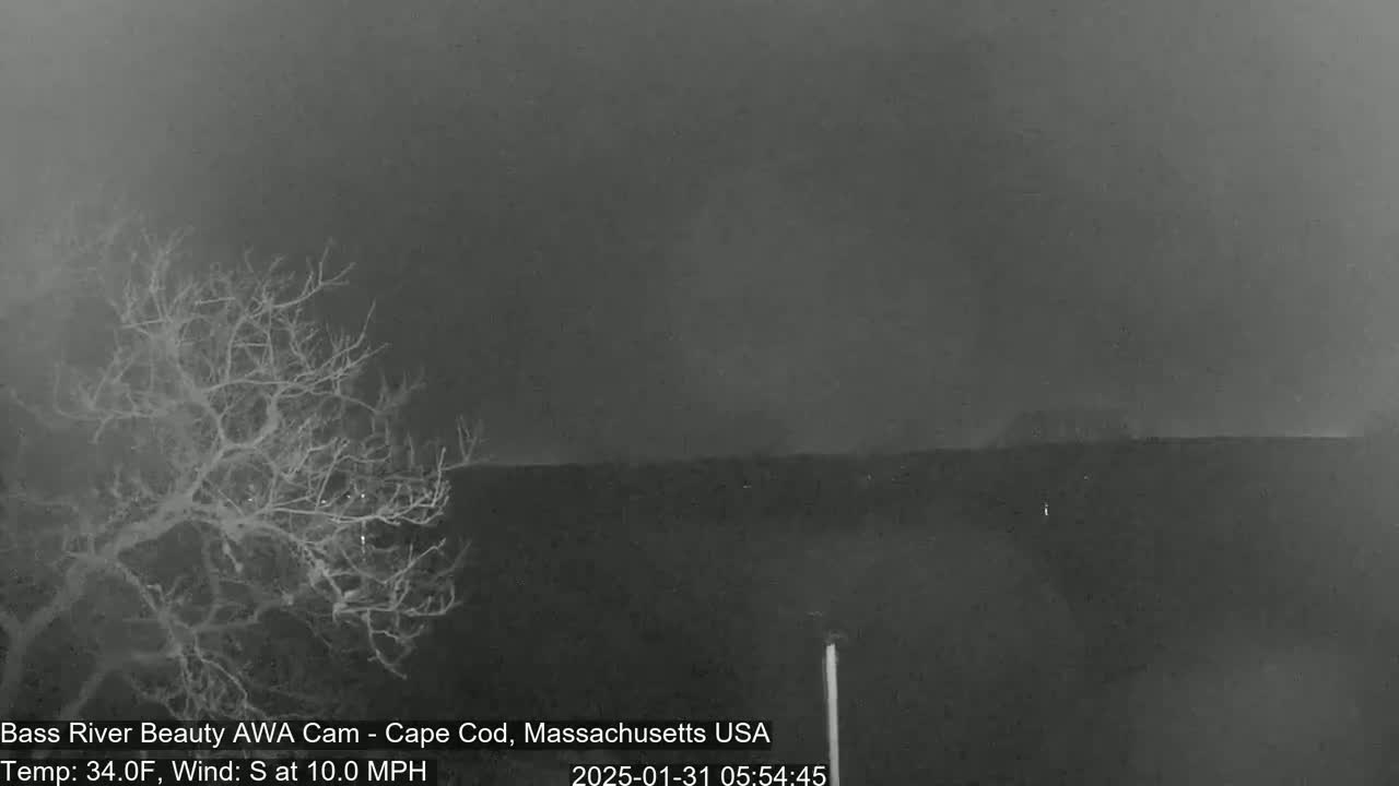 A bare tree stands to the left of a dark, overcast landscape under a gray sky with a south wind blowing at 10 mph.