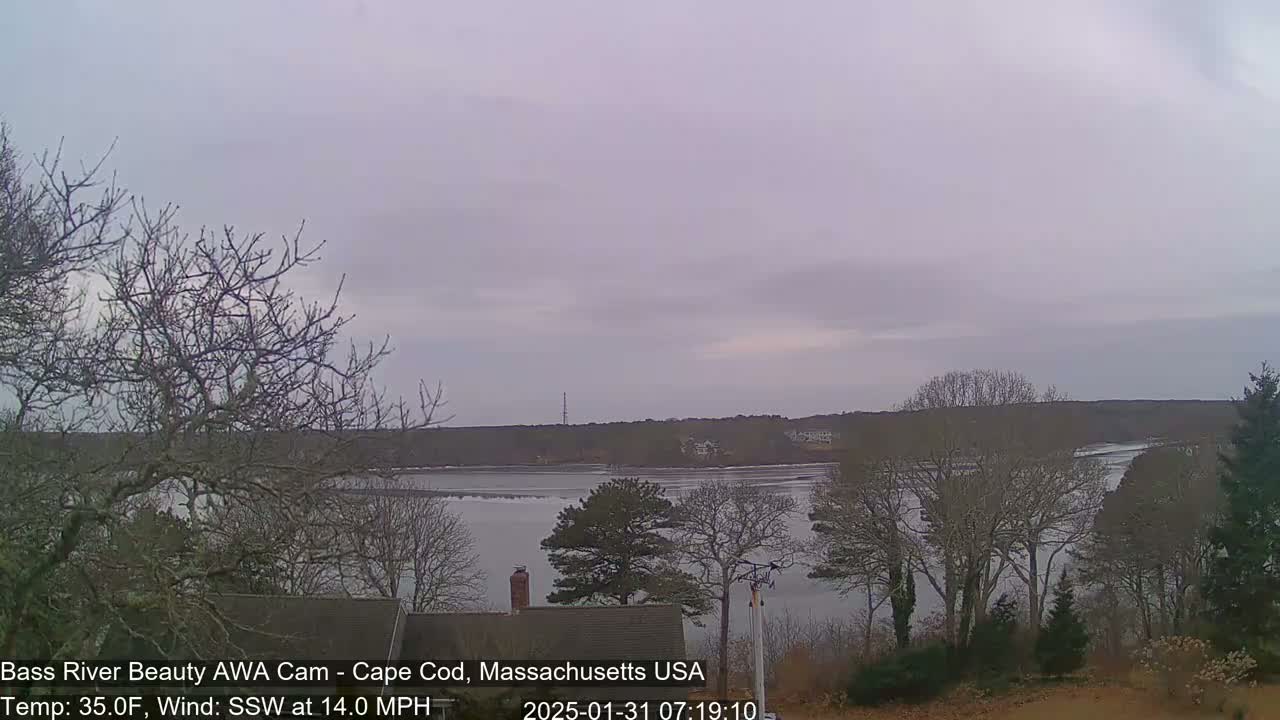 A calm, overcast day reveals a view of a river winding through a landscape of bare winter trees, under a pale sky.