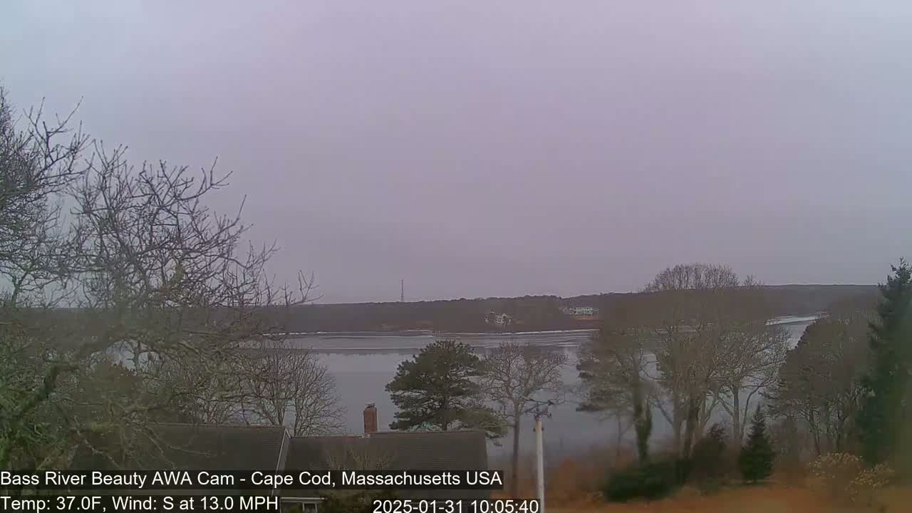 A calm river is seen from a distance, under an overcast sky, surrounded by bare trees in a muted landscape.