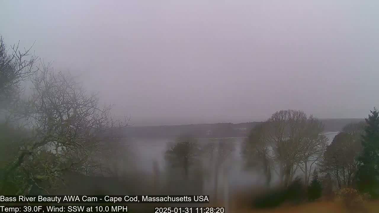 A foggy, overcast view of a river and trees, with a 10 mph wind from the south-southwest.