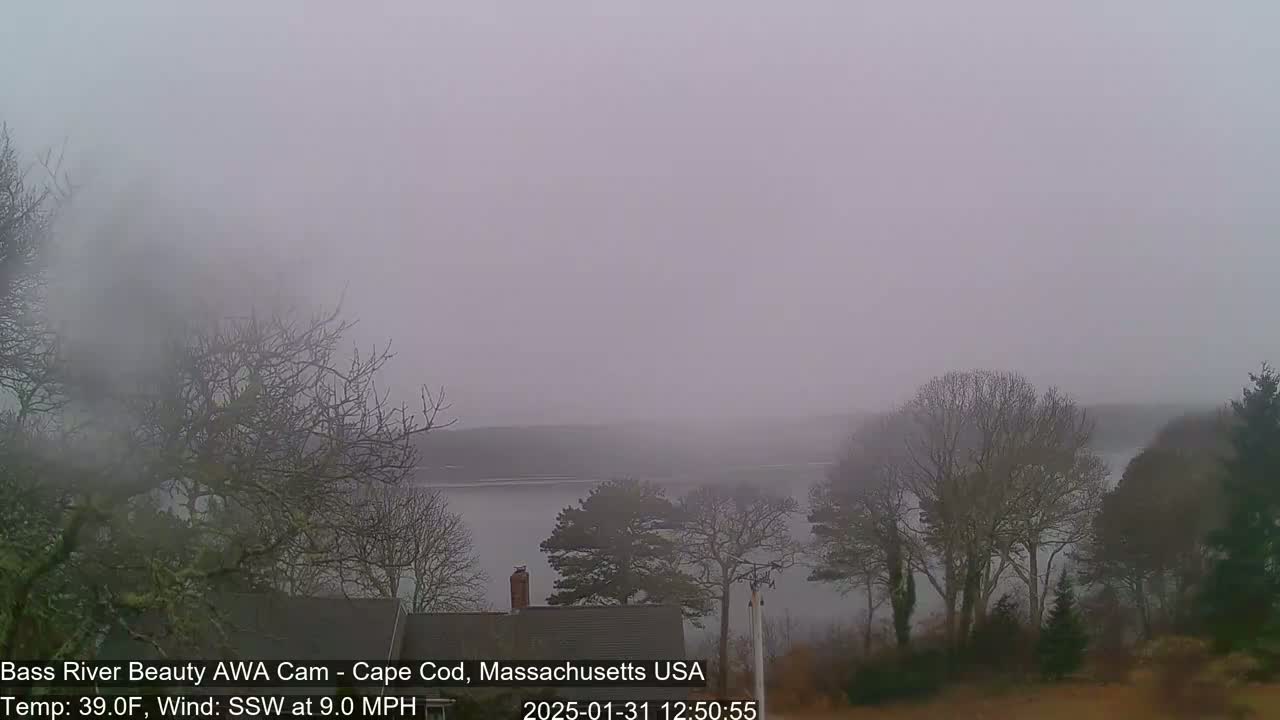 A foggy, overcast scene shows a body of water partially obscured by trees and mist, with a 9 mph wind from the south-southwest.