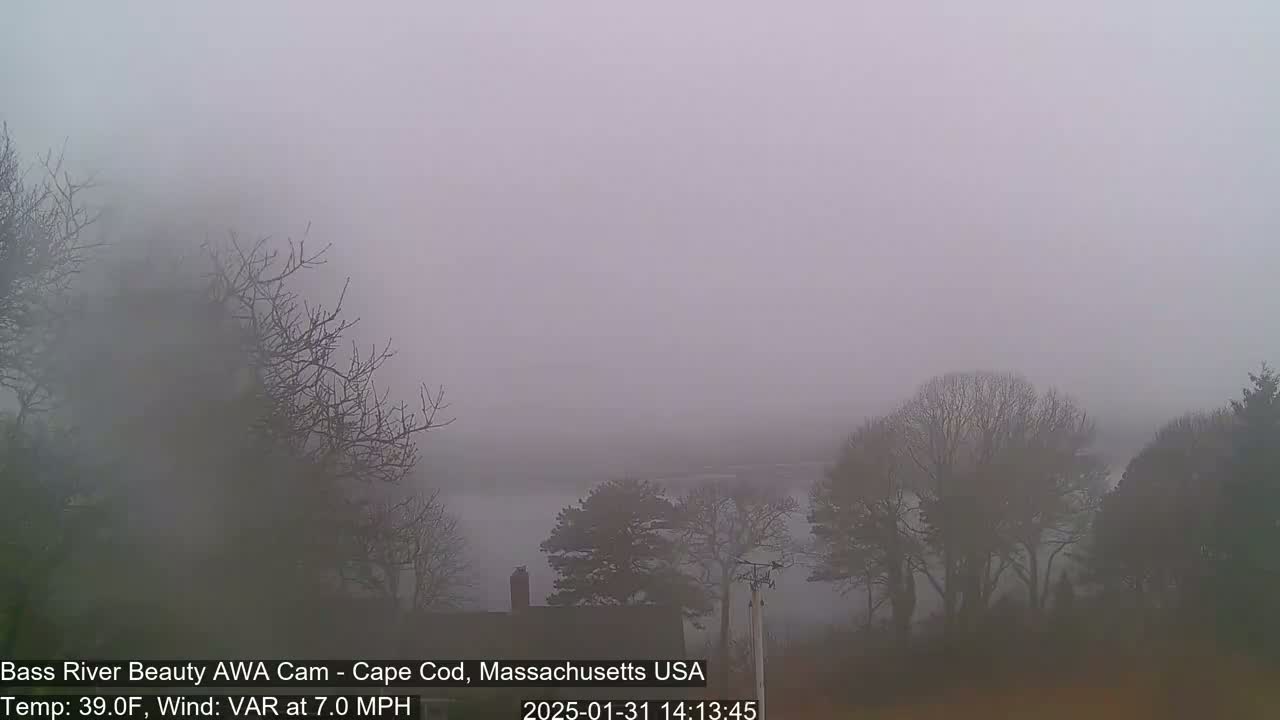A thick fog obscures a body of water and leafless trees.