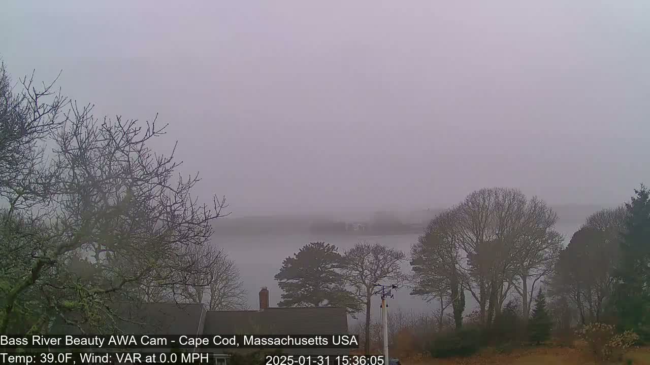 A foggy view of a body of water, partially obscured by bare trees and a house in the foreground.