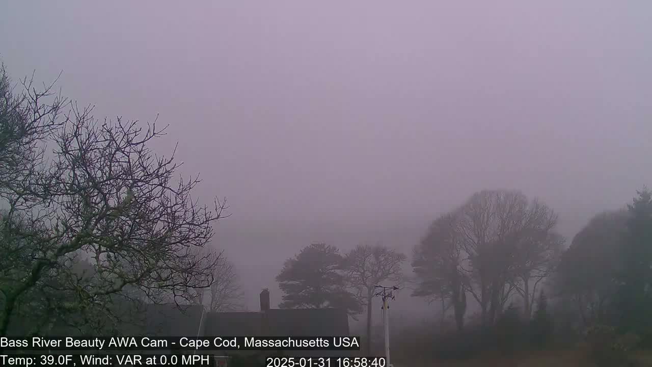 A foggy landscape shows leafless trees and a house partially obscured by a thick, pale-purple fog.