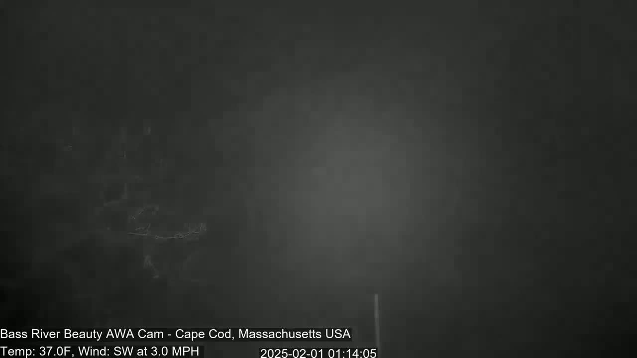 A dark, foggy scene is visible, with a temperature of 37 degrees Fahrenheit and a southwest wind of 3.0 mph.