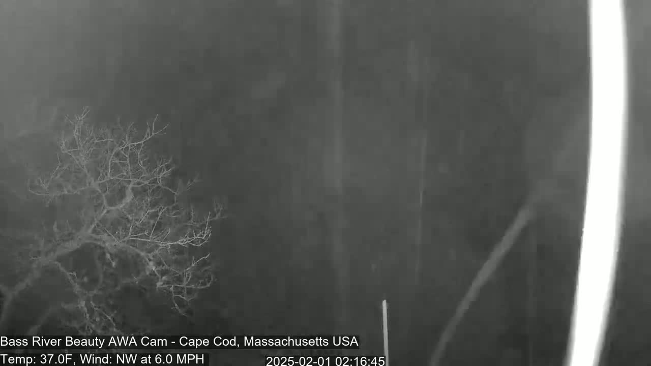 Cape Cod - Bass River, Live Cam - Yarmouth, Massachusetts, USA