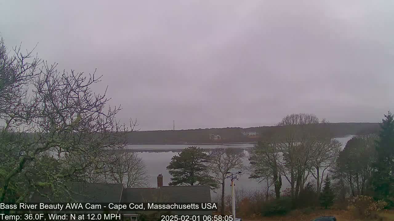 A calm body of water is seen under an overcast sky, with bare trees lining the shoreline on a cold, windy day.