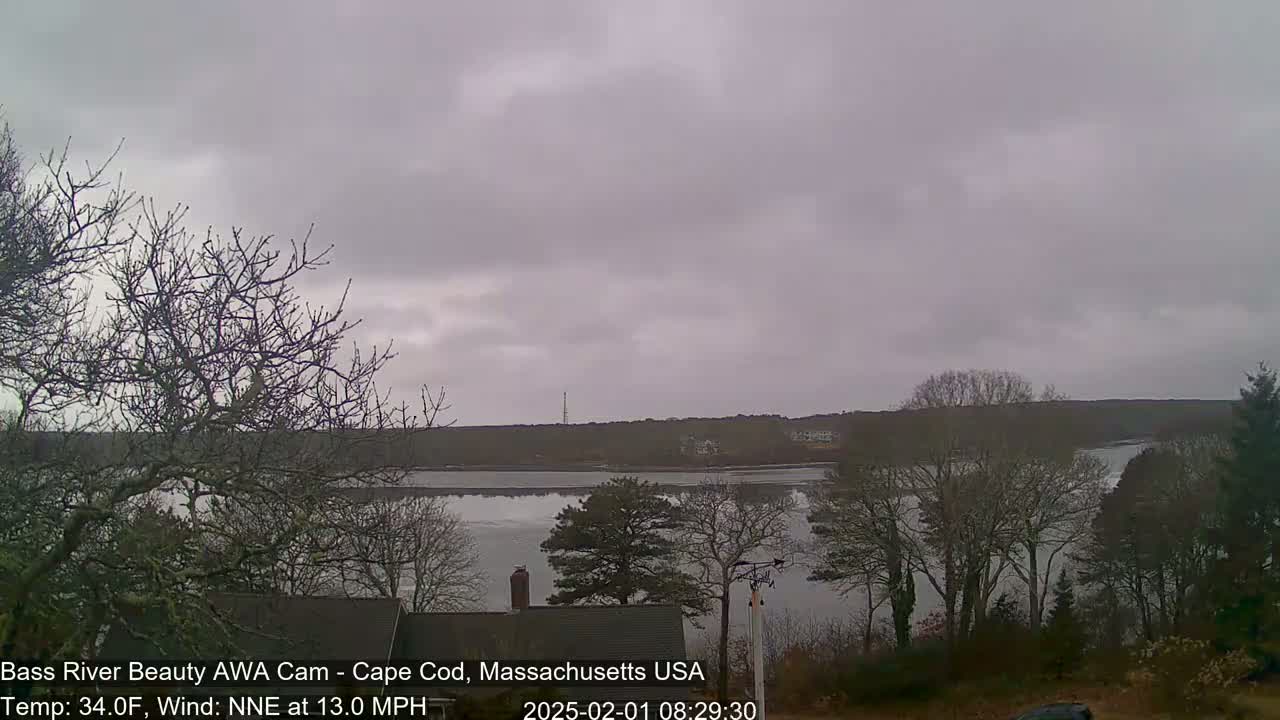 A calm river is partially frozen under an overcast sky, with bare trees lining the riverbank in the foreground.