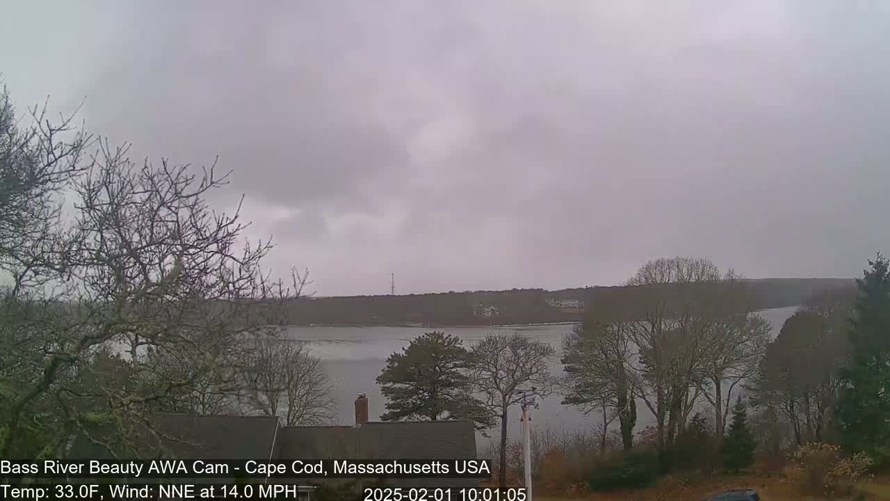 A view of a calm river under an overcast sky, with bare trees in the foreground and a snow-dusted shoreline in the distance.