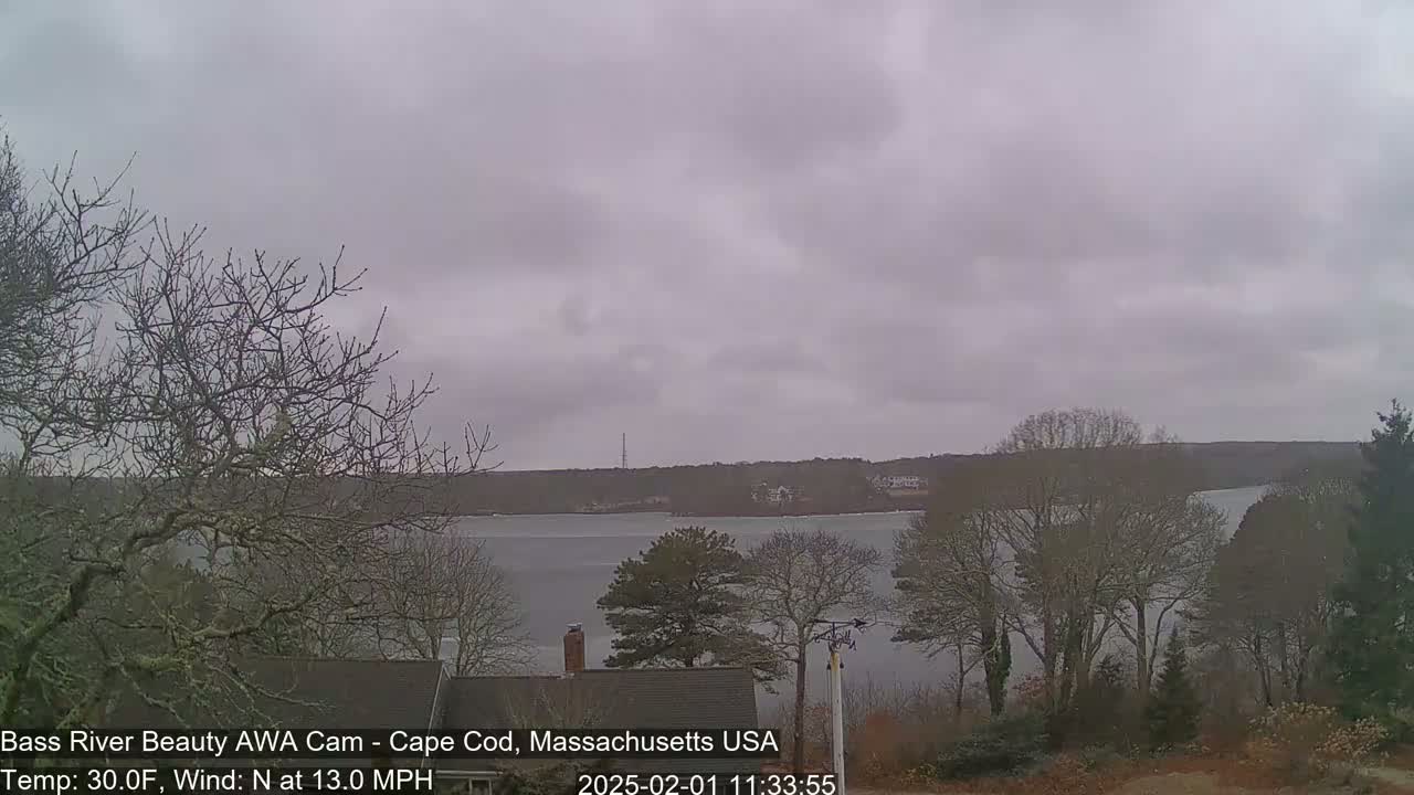 A view of a calm body of water under an overcast sky, framed by bare trees and a house.
