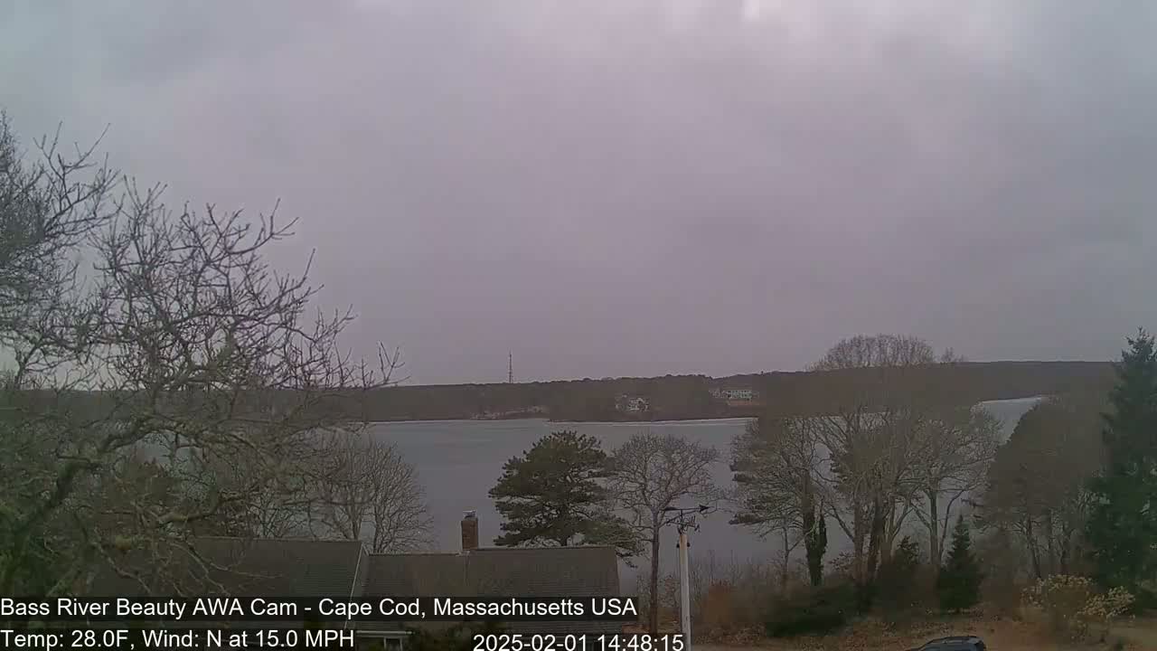 A view of a calm body of water under an overcast sky, with leafless trees in the foreground and a treeline on the far shore.