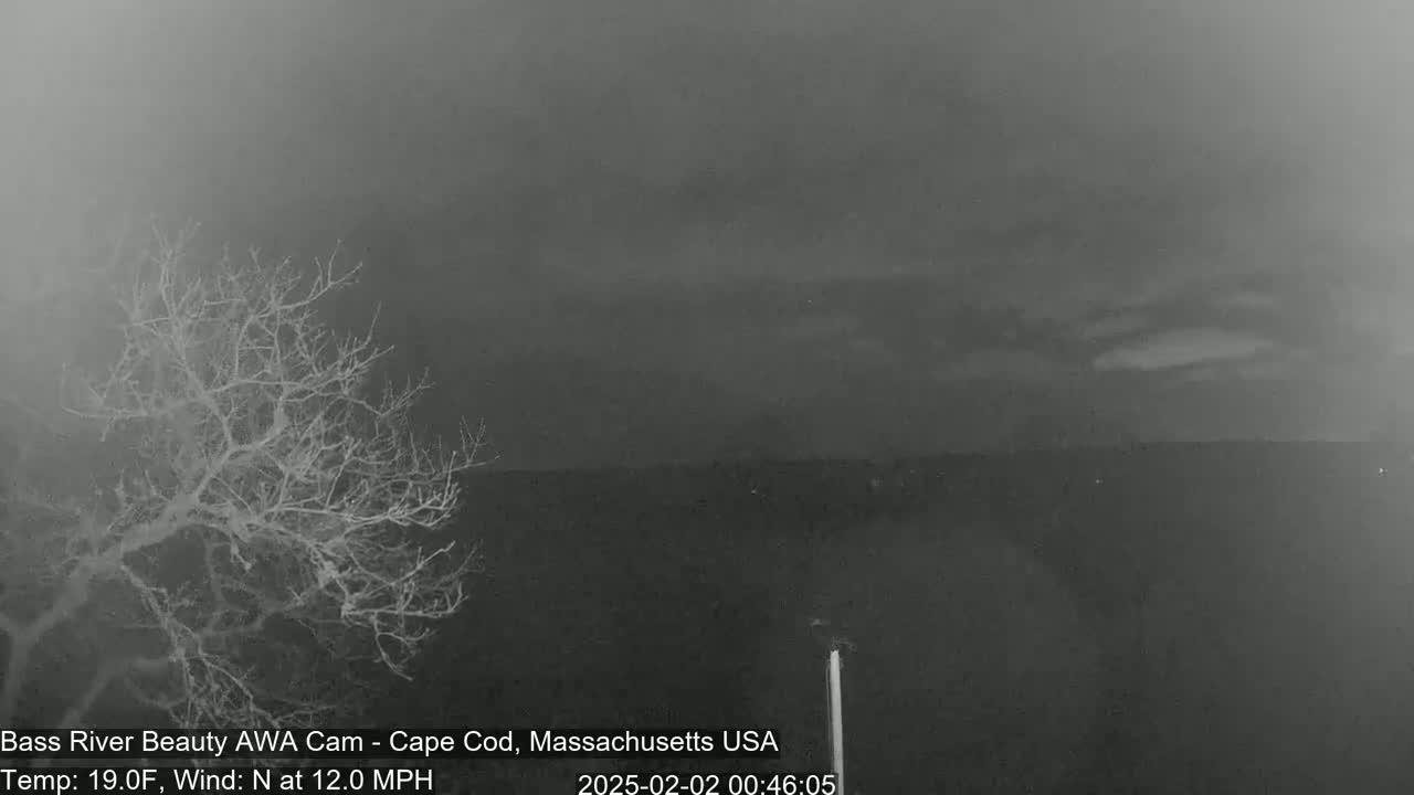 A bare tree stands in the foreground under a dark, overcast sky with a north wind blowing at 12 mph.